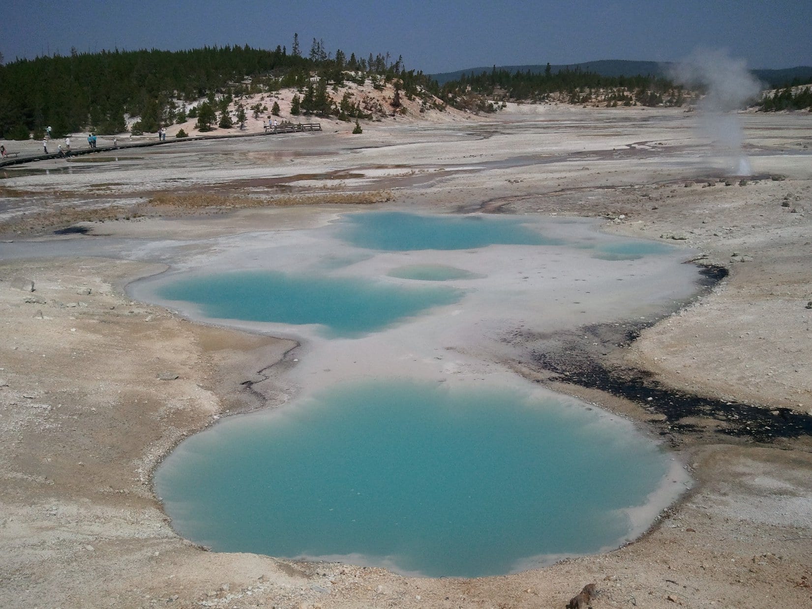 Norris Geyser Basin & Mammoth Hot Springs In Yellowstone National Park ...